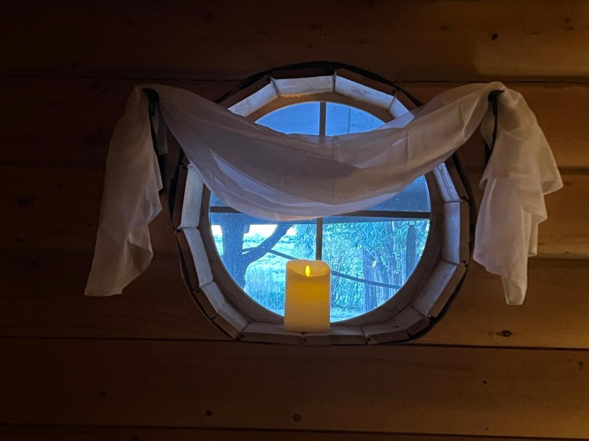 The Gratitude Homestay Alamosa Dış mekan fotoğraf